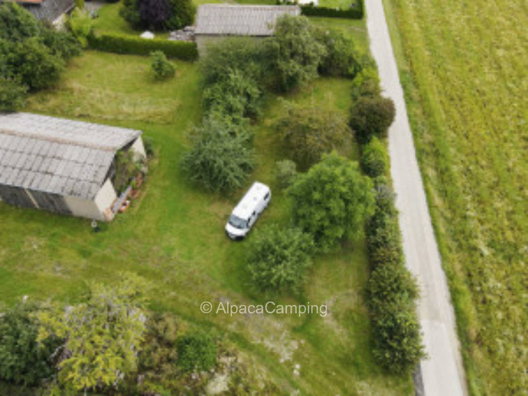 Orchard in Franconian Switzerland #1