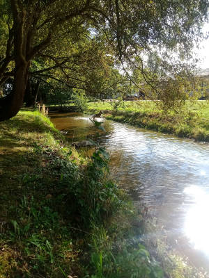 Former trout farm