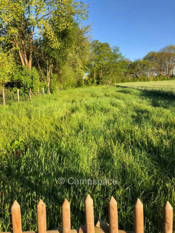 Sag Kaninchen und Kranich guten Morgen!