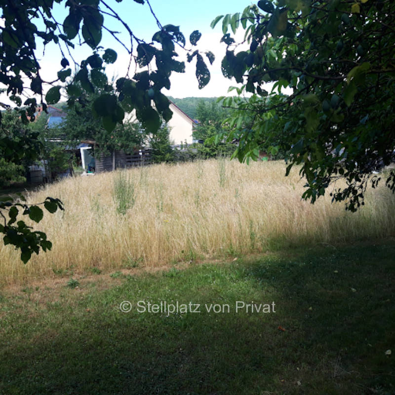 Meadow place in the beautiful Itzgrund