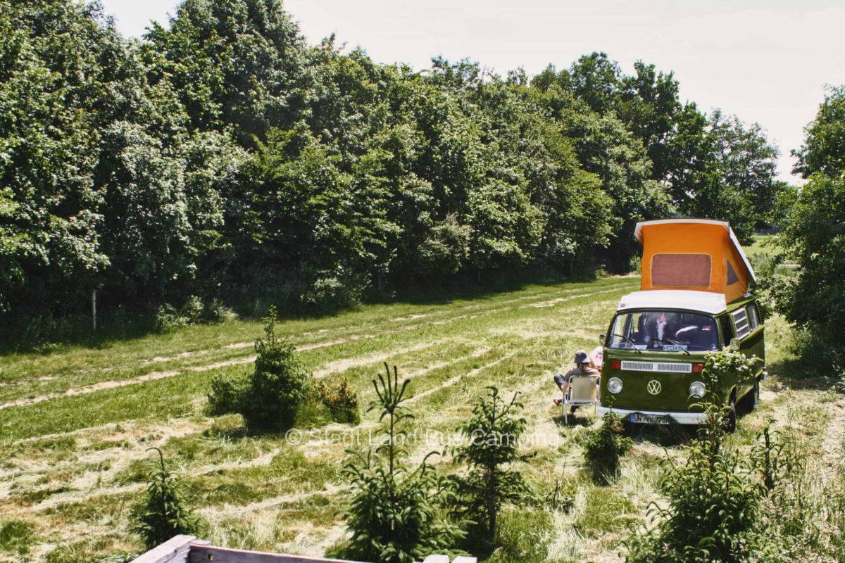 Hofstelle Kuhnterbunt - Zwei