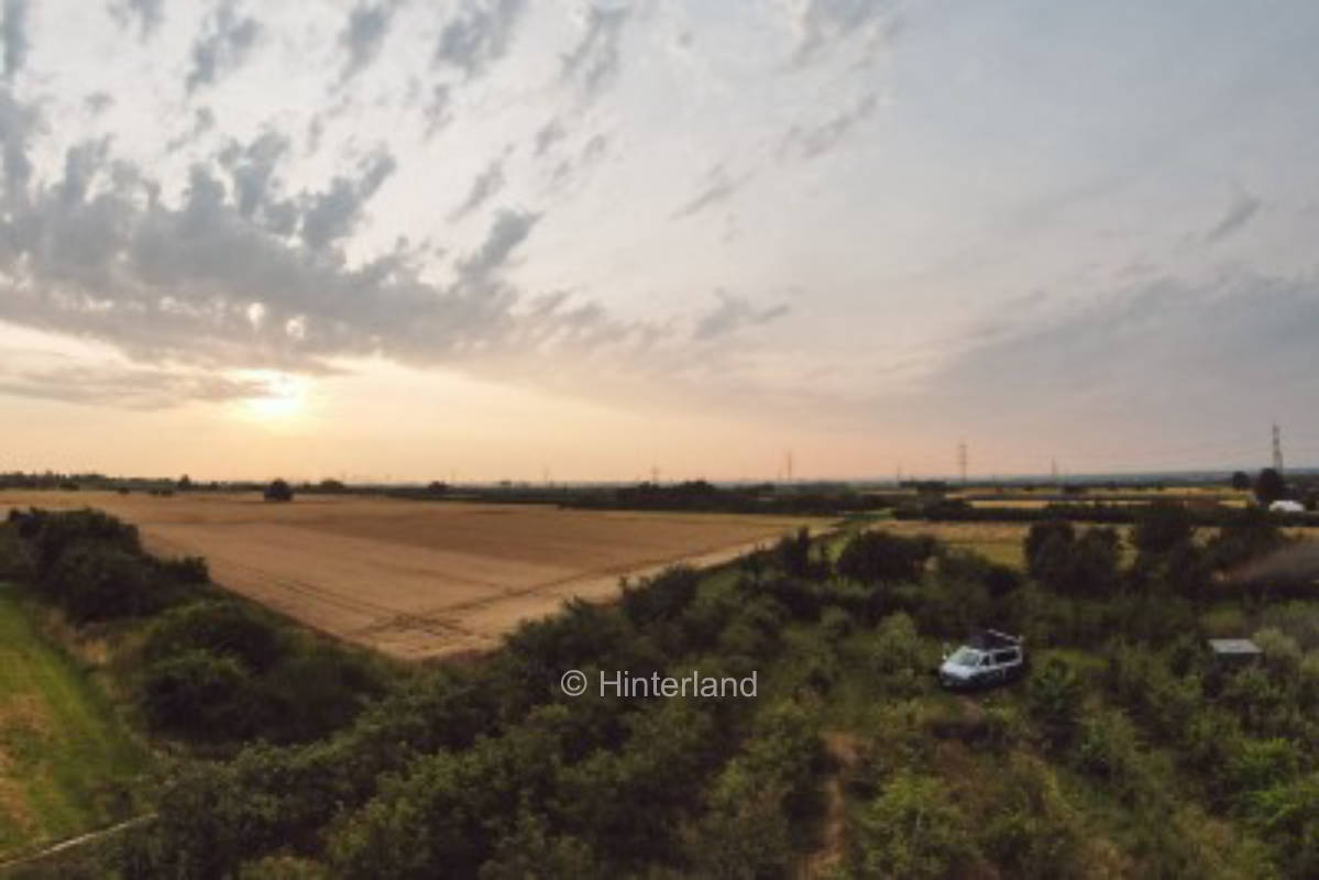 Apfelplantage mit Blick auf Frankfurter Skyline