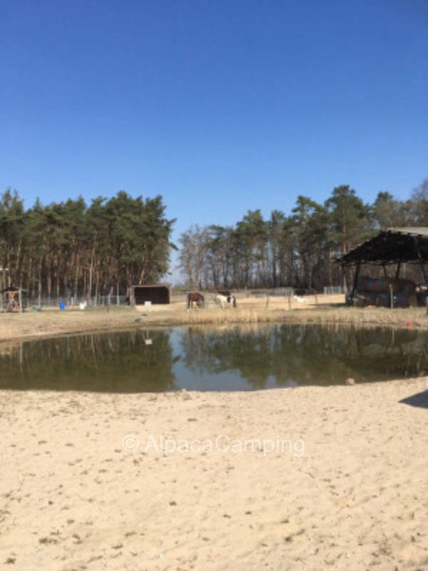 View of the pastures #7