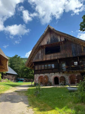 Platztyp für 10 Personen (Campspace 25043)