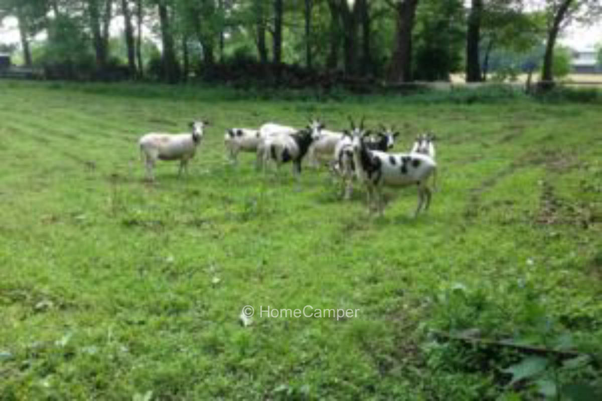 Private place in Kellinghusen