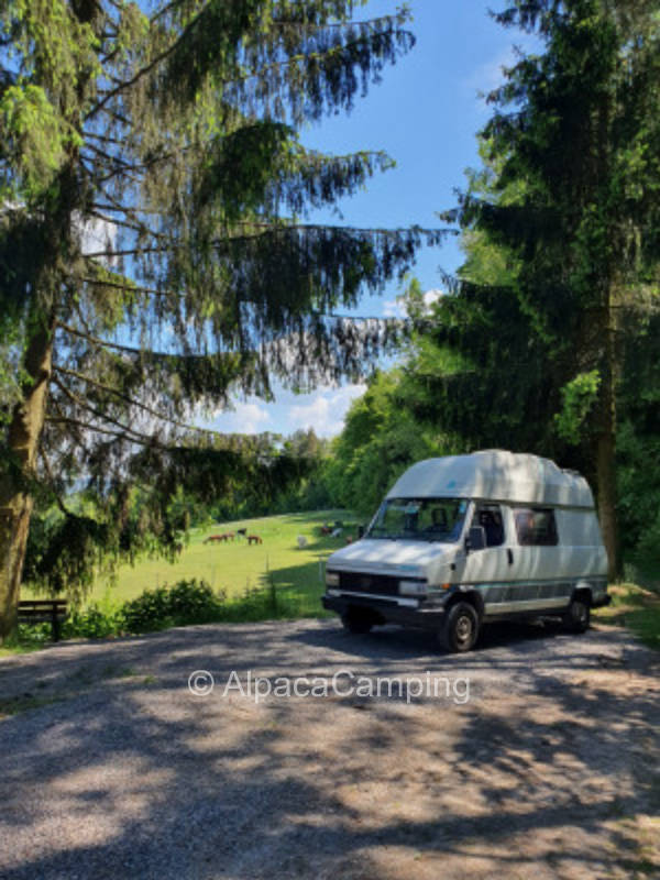 Quiet place directly on the edge of the forest with a view of the llamas and alpacas