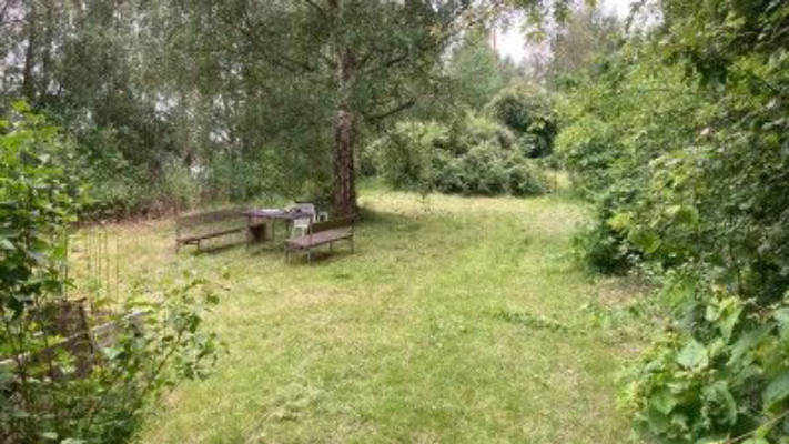 Nature experience in the middle of Hamburg