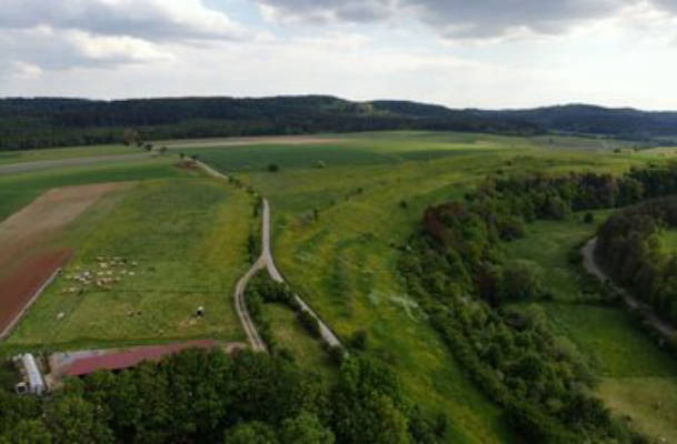 Biohof Wiesen 