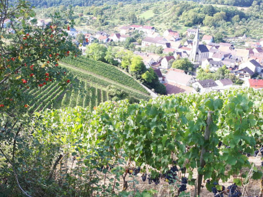 privater Stellplatz (Campspace 9170)