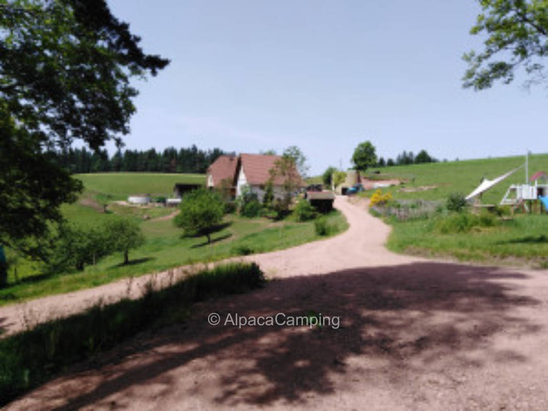 Pitch by the children's playground with fireplace