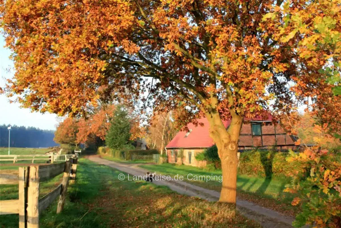 Campen zwischen Schafen, Rindern und Pferden