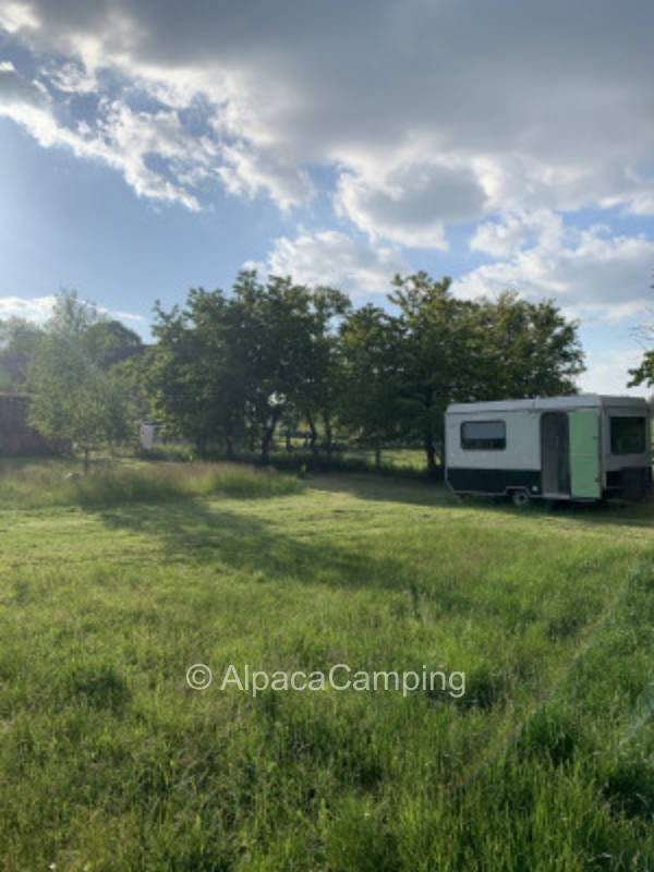 Schlafplatz unter dem Storchennest #2