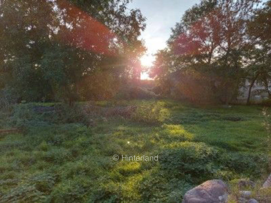 Natur pur im Tollensetal (Meck-Pomm)