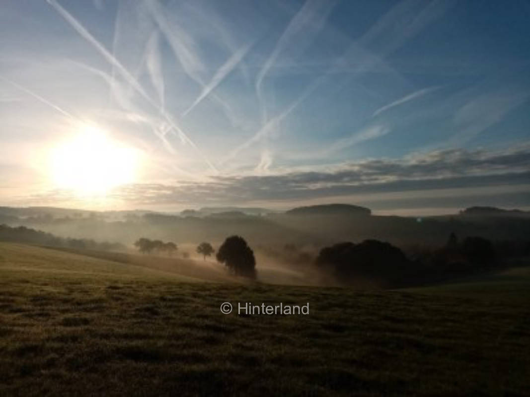 Nature idyll at badger's house surrounded by hills