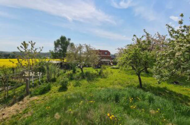 Garden in Schönbach