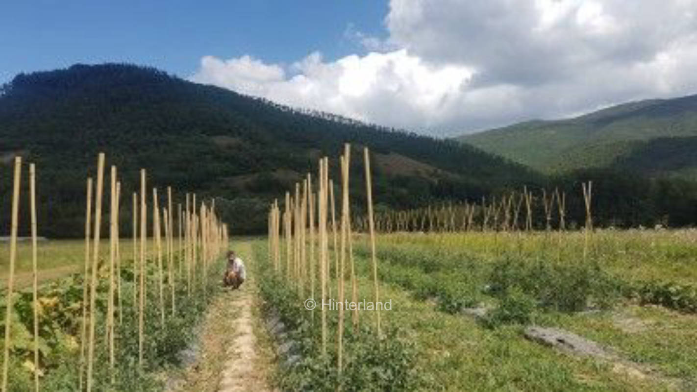  Azienda agricola biologica tra montagne e fiume, privater Stellplatz