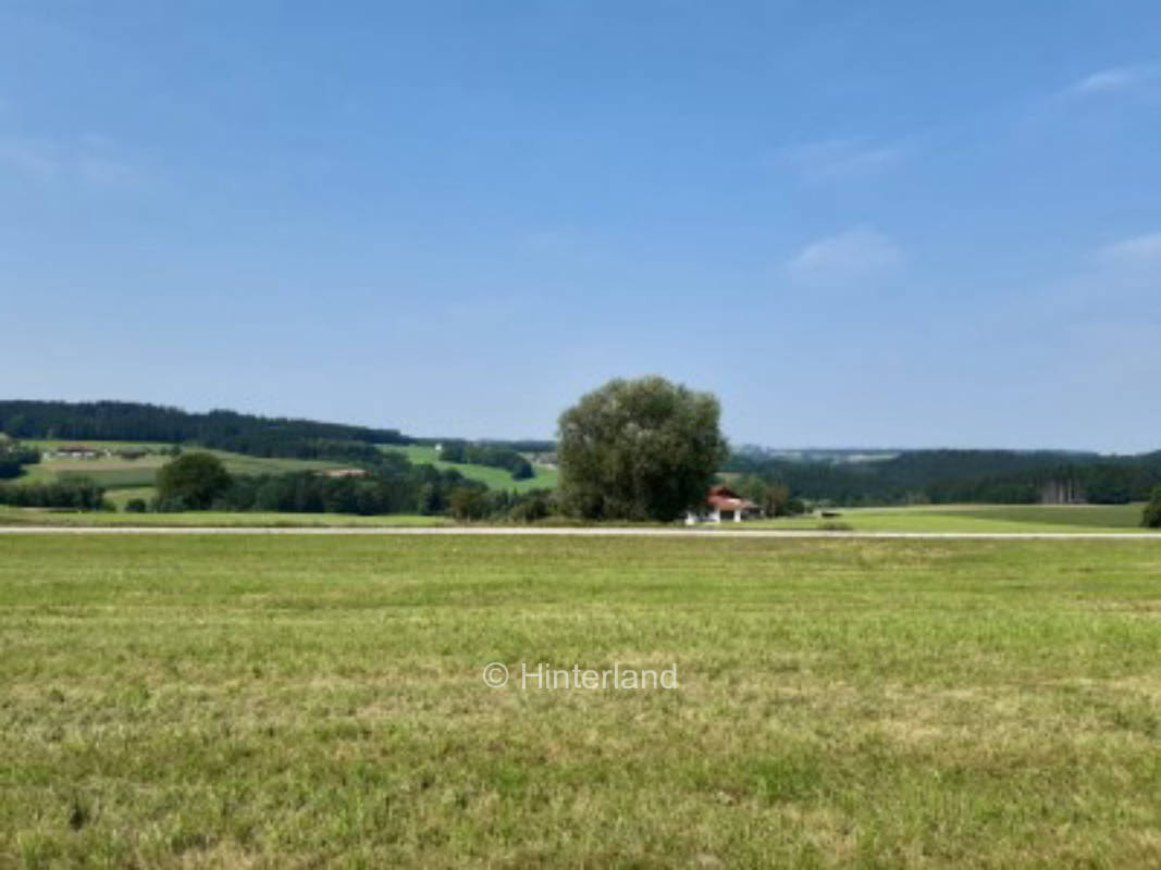 Ruhige Wiese mit Obstbäumen am Biberweg