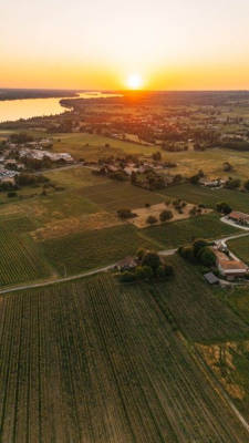 Tasting & Night in the Heart of the Vineyards