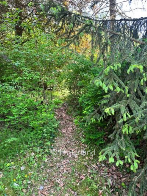 Gönnt euch eine Auszeit mitten im Wald