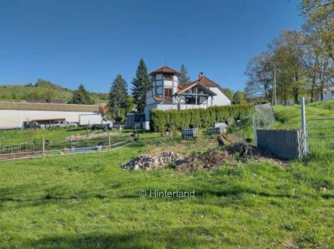 Camping bei den Schafen: Idylle im Beisetal