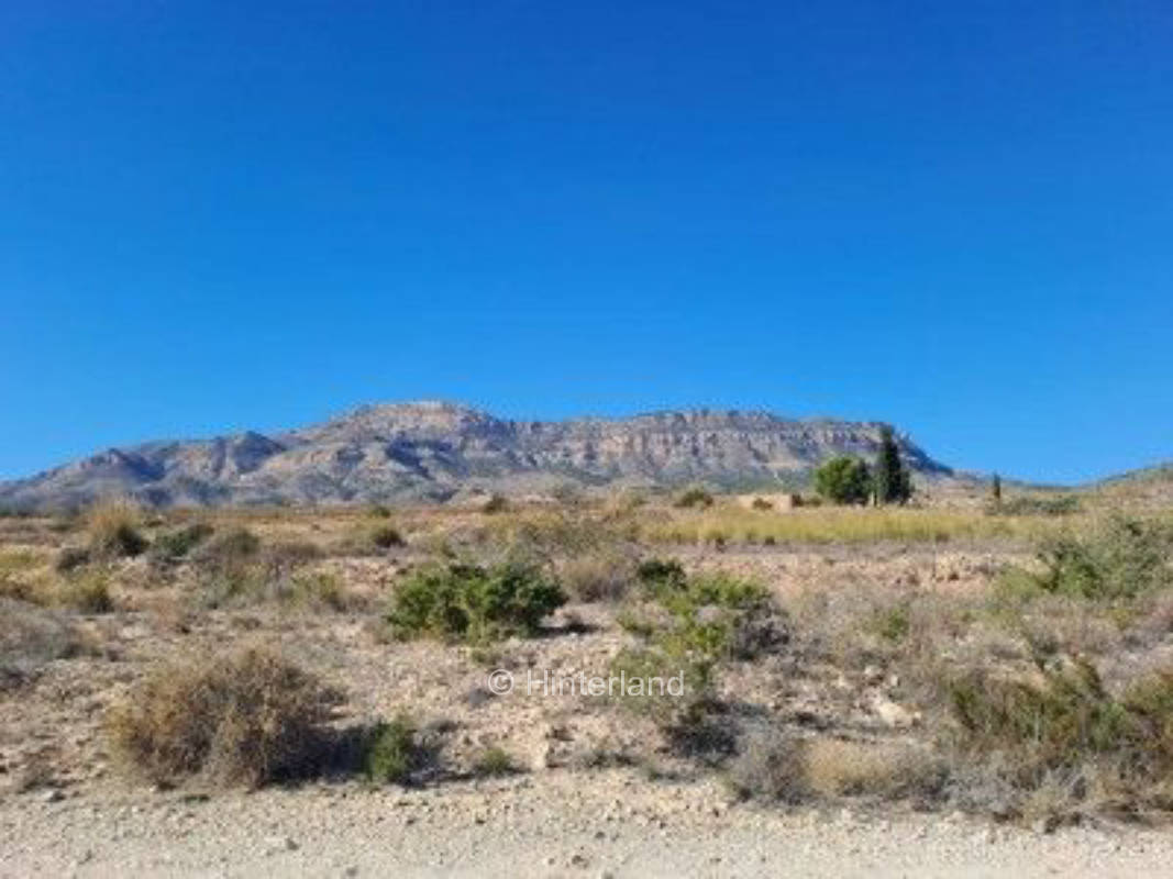 Retiro rural: viñedos, olivos y vistas al mar