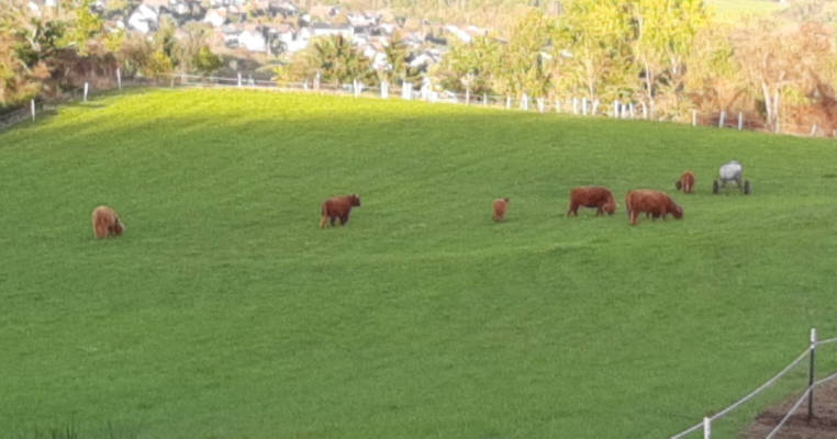 Stellplatz am Hohlandhof