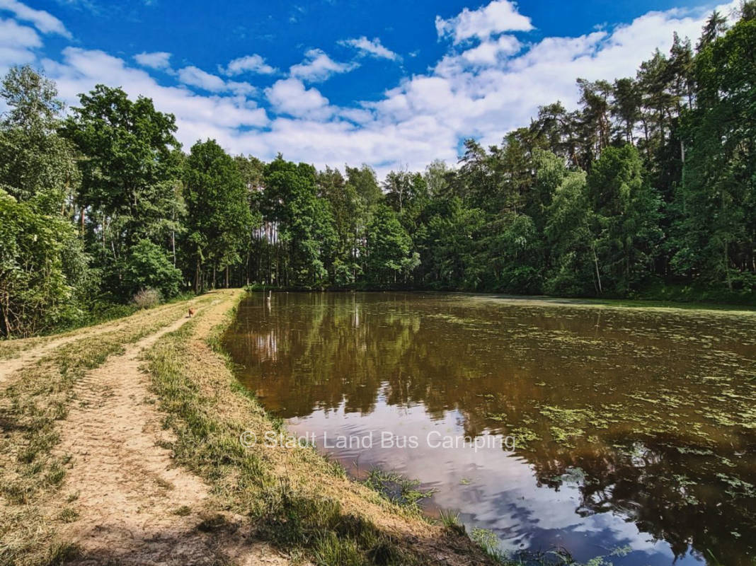 Am Weiher