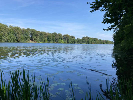 Wohnmobilstellplatz am Cramoner See, Cramonshagen