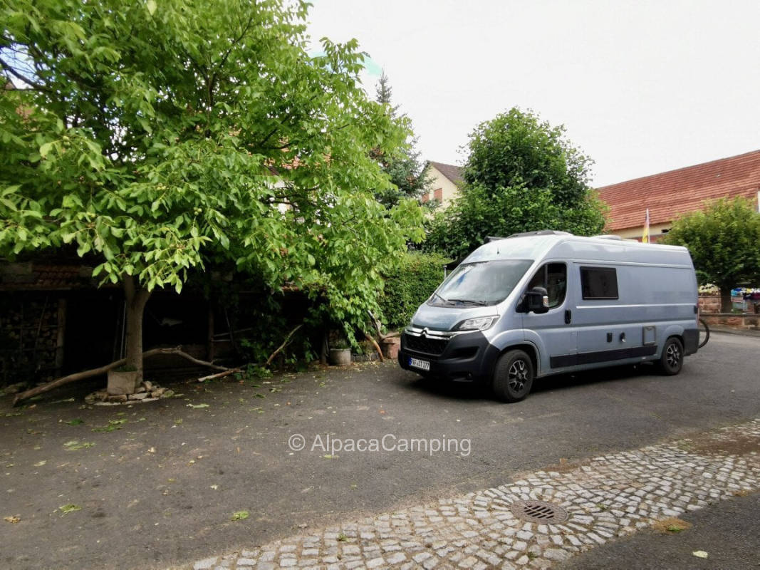 Single parking space in the yard