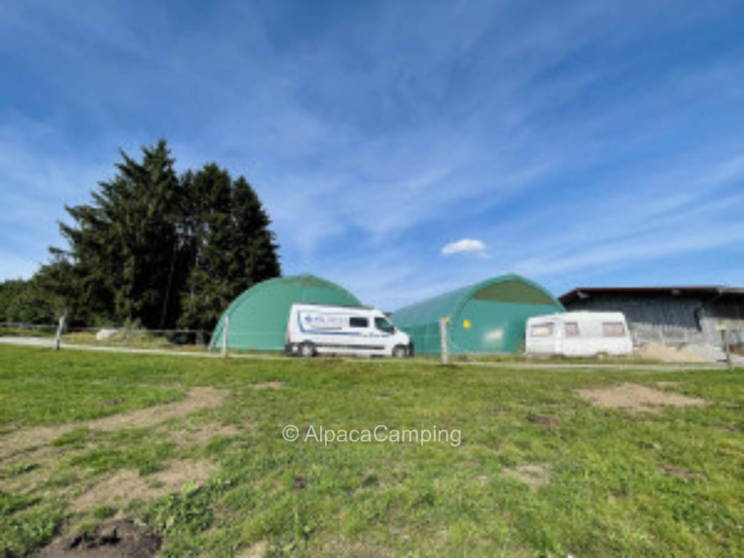 Horse stable from farm #1