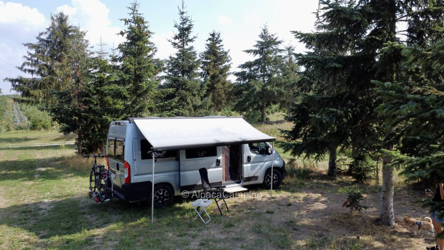AlpacaCamping 5908