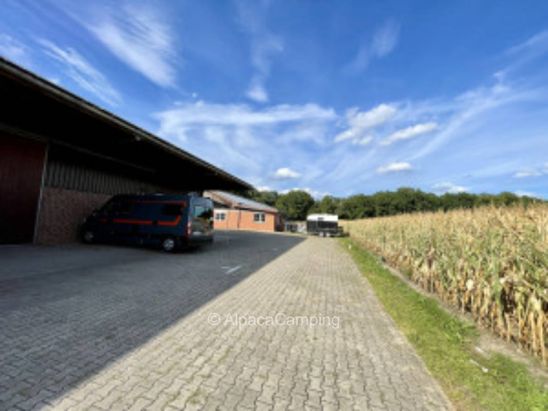 Westfälische Parklandschaft #2