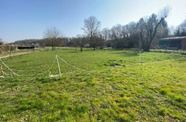 Camping on the Meadow