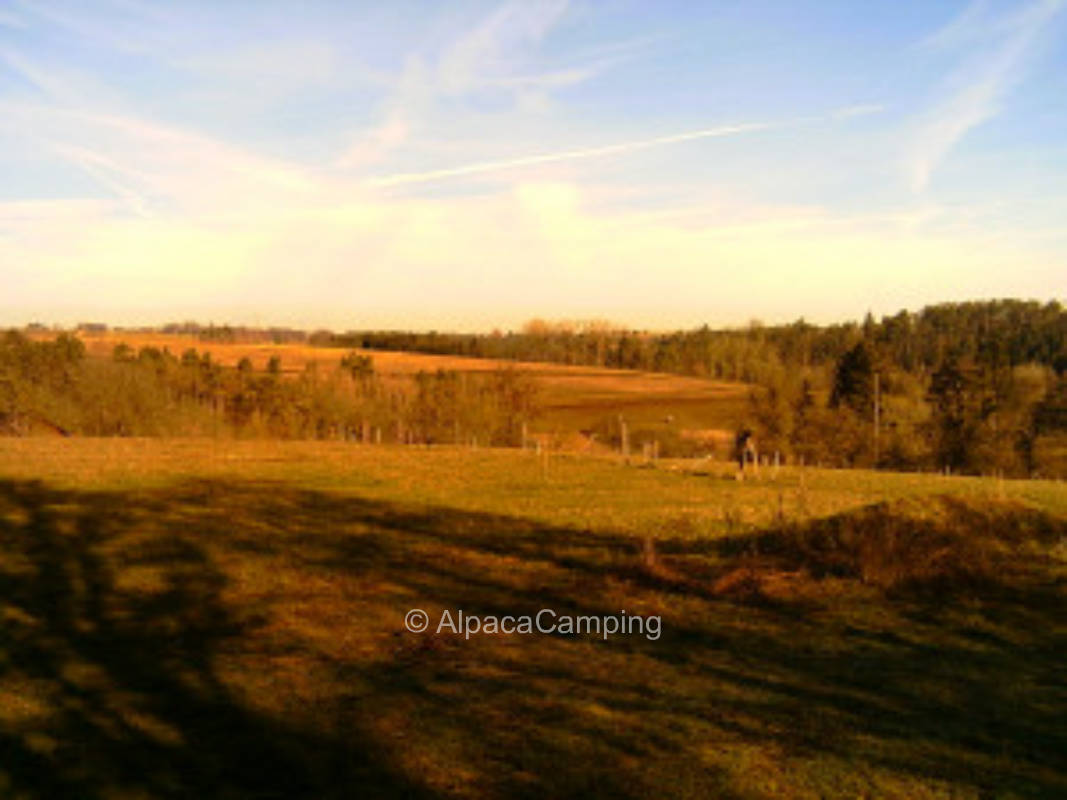 Meadow pitch at the end of the world #2