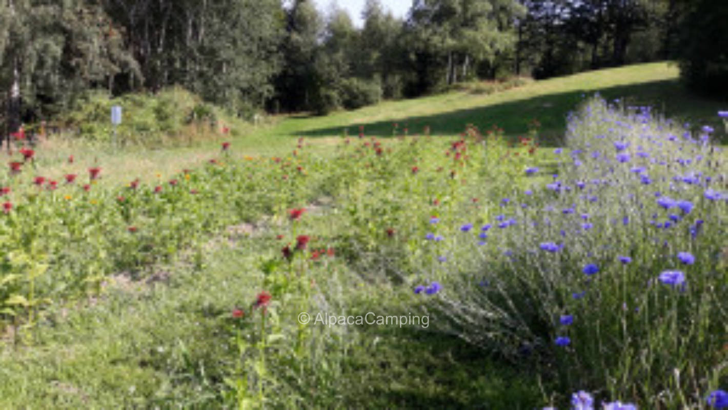 1000m above everyday life