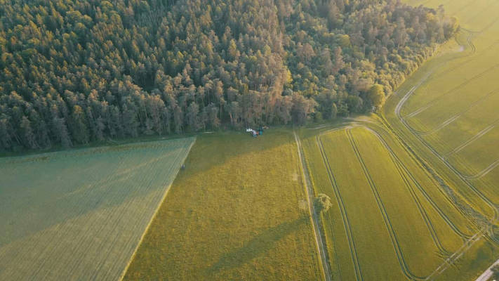 Wiese an der apfelallee