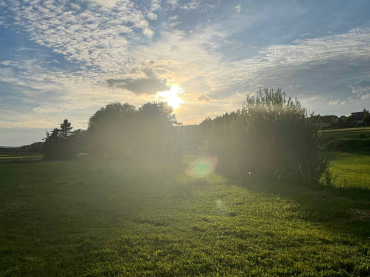 Wiese am muhlbach