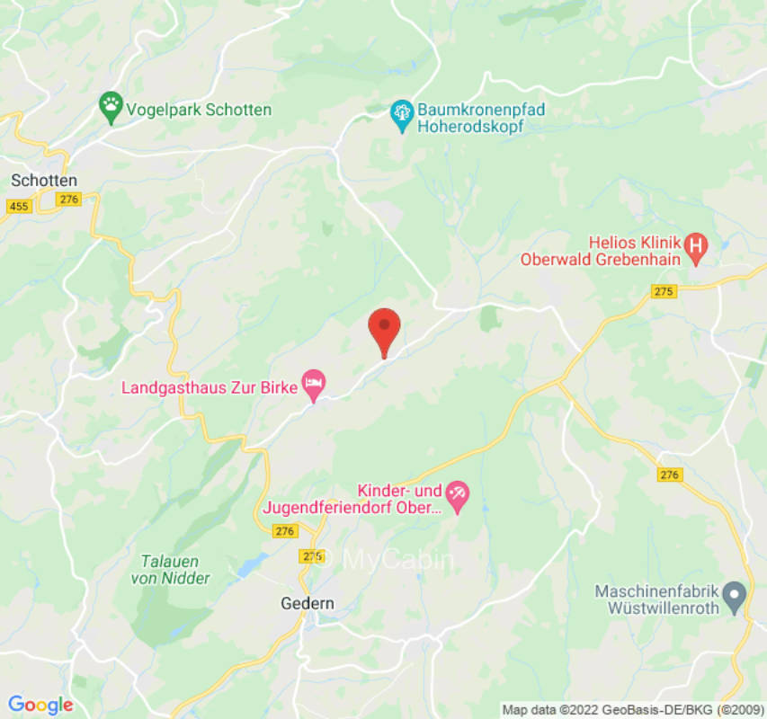 Zelten unter Baumriesen