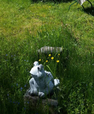 Your holiday in the Crutpracht-Garten near the Biggesee... off the beaten path (Campspace 7867)