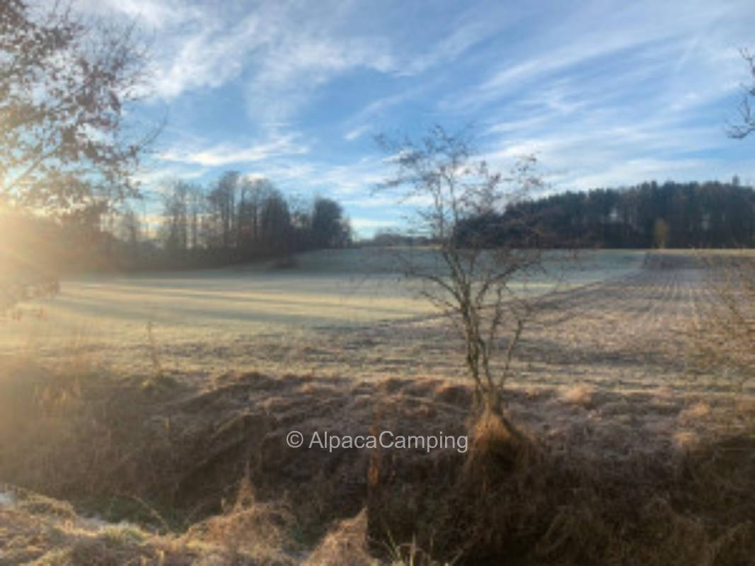 Pitch in the greenery by a small stream #1