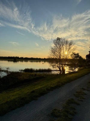 Quiet countryside idyll on the Elbe dike