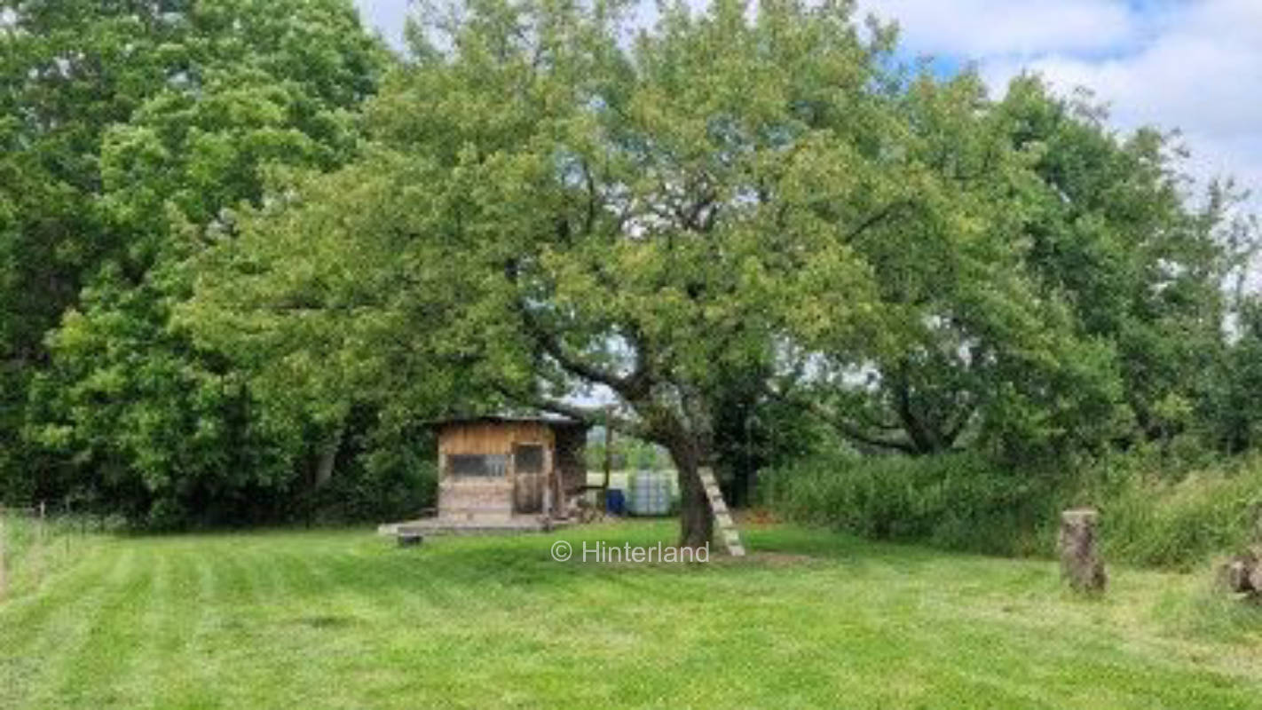 Auszeit unter den Kirschen