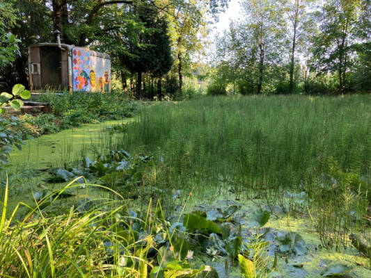 Zelt für 10 Personen (Campspace 31830)