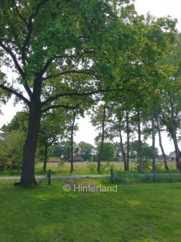 Ruhige Lage außerhalb des Ortskern 