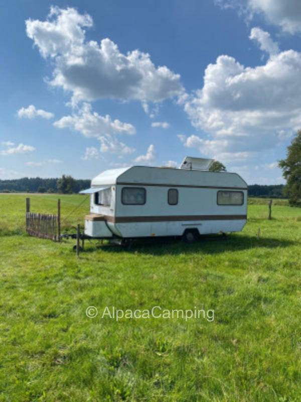 Farm vacations - hermit farm #3