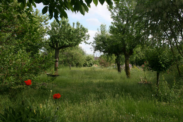 Unter ostbaumen mit weitblick