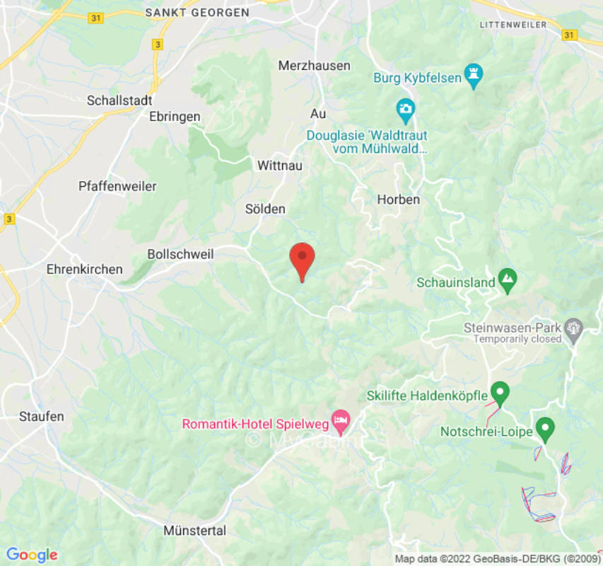 Forest bathing in the Bad Krozingen healing forest