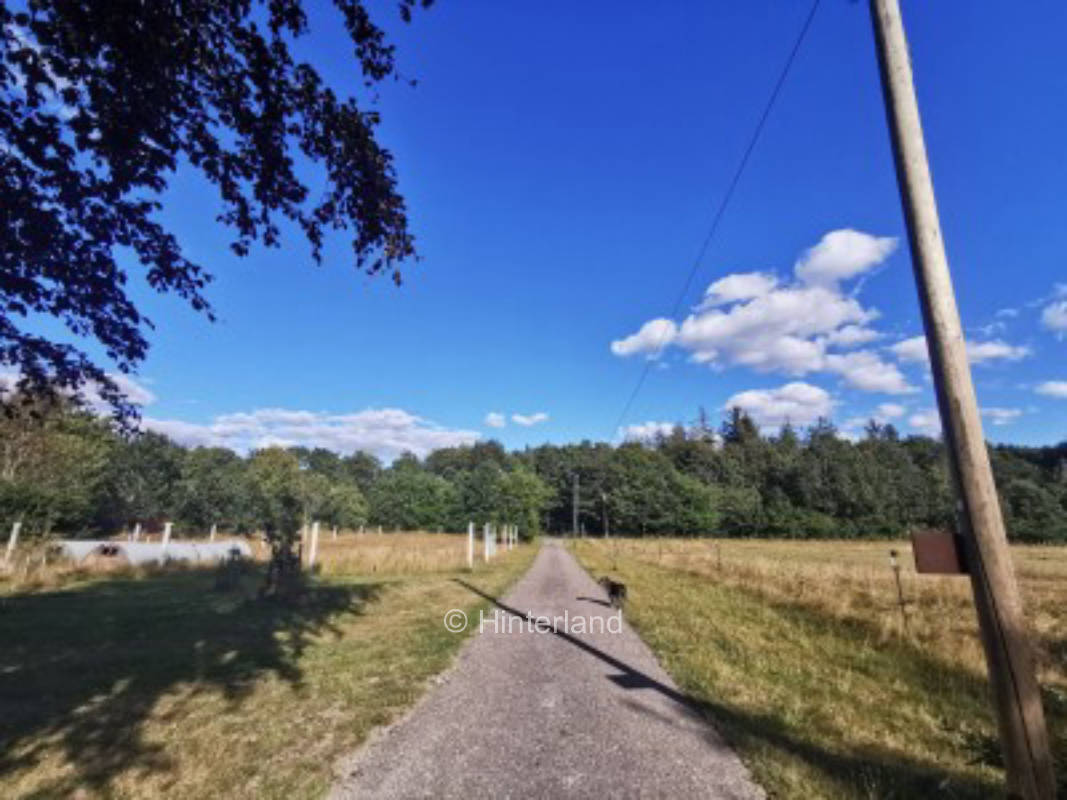 Ruhiger Platz auf dem Feld an der dänischen Grenze