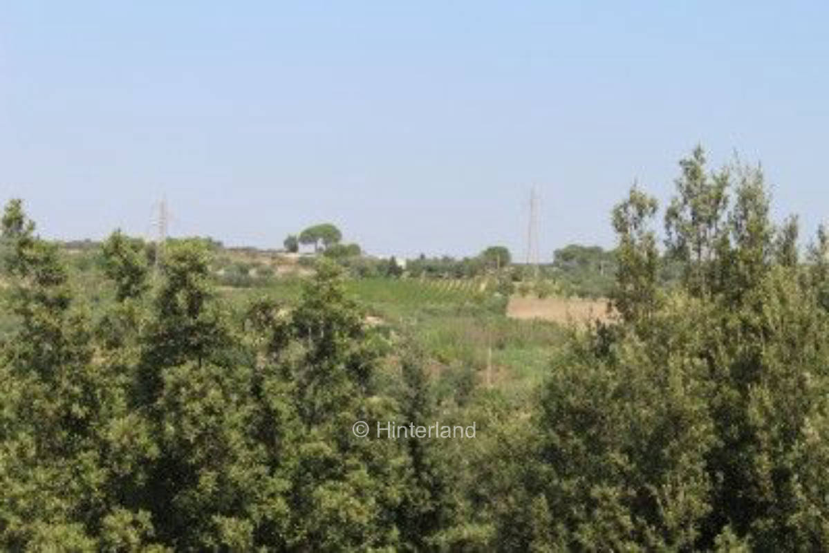 Weinberge, Höhlen und Oliven im Herzen Apuliens