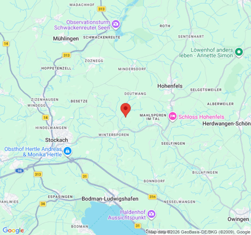 Wiese am Hirschgehege